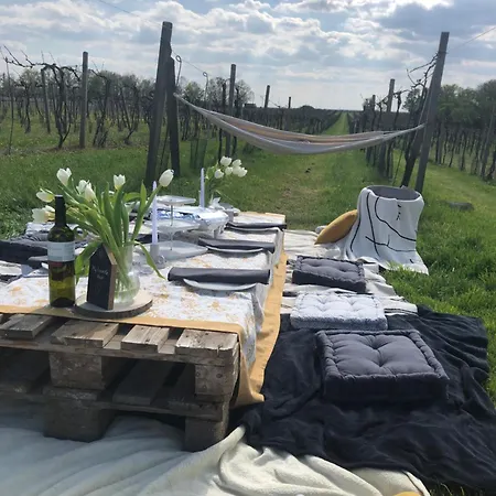 Vinny Sklep V Zarazicich Veseli nad Moravou