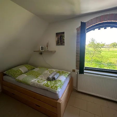 Vinny Sklep V Zarazicich Apartment Veseli nad Moravou