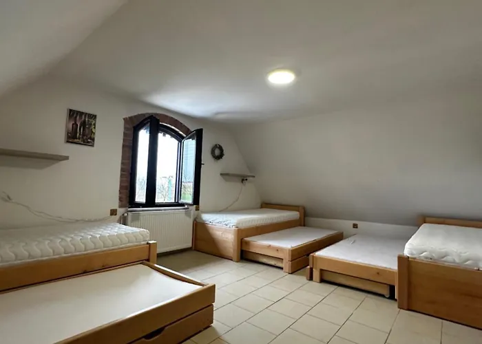 Vinny Sklep V Zarazicich Apartment Veseli nad Moravou