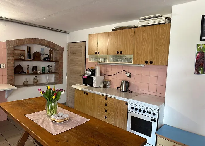 Vinny Sklep V Zarazicich Apartment Veselí nad Moravou
